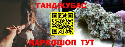 индика Можга