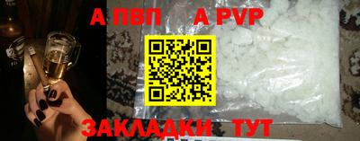 индика Можга