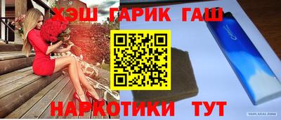 индика Можга