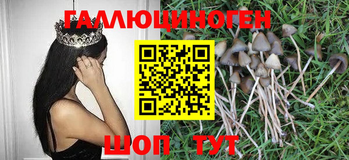 Энгельс  Псилоцибиновые грибы GOLDEN TEACHER  закладка  Вход с VPN 